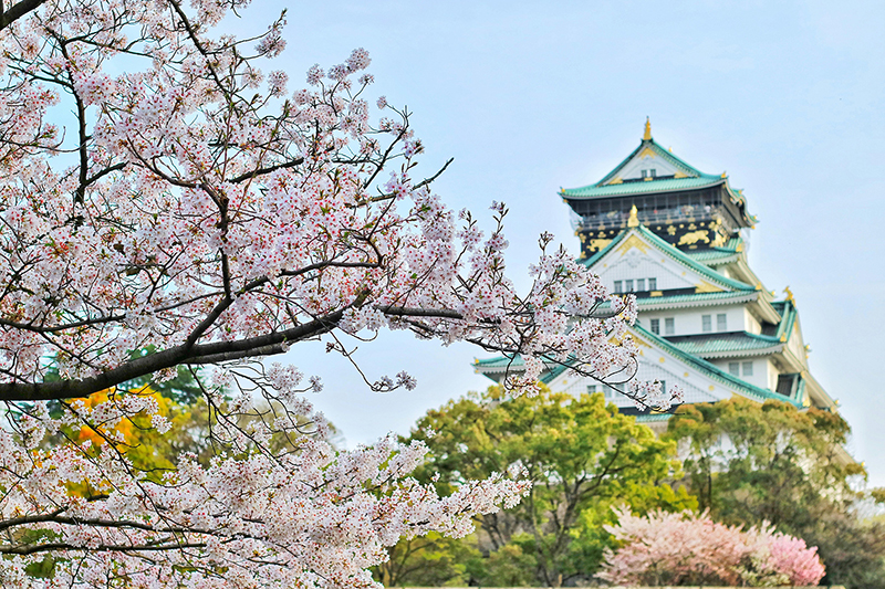 日本艺术留学申请条件有哪些